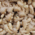 China Suppliers organic ginger fresh organic ginger for sale